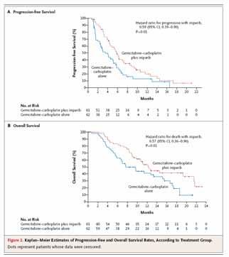 Phase II trial of the oral PARP inhibitor iniparib in triple negative advanced breast cancer O Shaughnessy, NEJM, 2011 Iniparib is well tolerated and highly active in advanced chemotherapyrefractory
