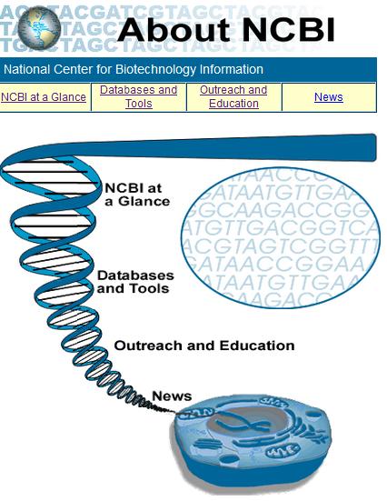 NCBI The National Center for Biotechnology Information (NCBI) advances science and health by providing access to biomedical and