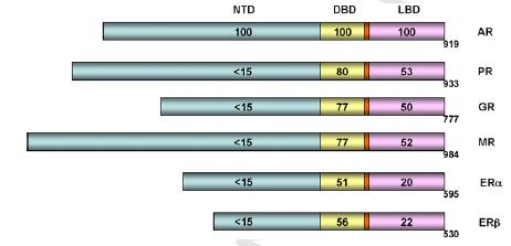 N-terminal regulatory domain, NTD), DNK-vezujući domen (eng. DNA-binding domain, DBD), mali vezujući domen (eng. hinge, H) i ligand vezujući domen (eng. ligand binding domain, LBD).