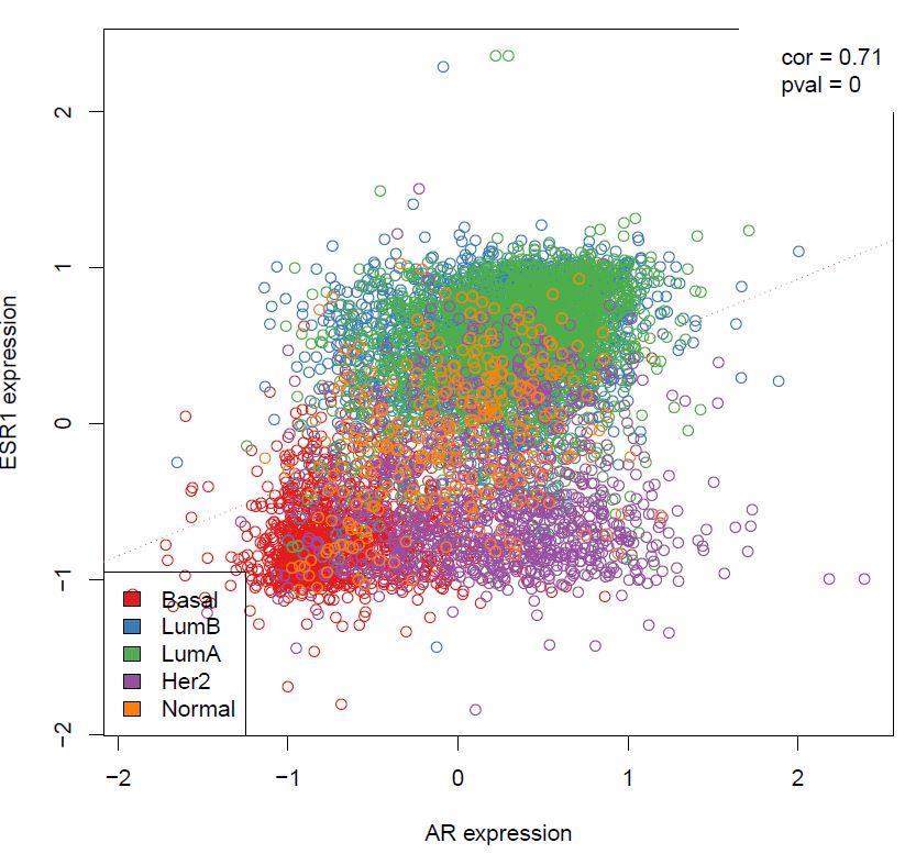 Kod svih navedenih molekularnih podtipova karcinoma dojke pokazali smo pozitivnu korelaciju između ekspresije irnk AR mrna i ESR1 gena, odnosno ekspresije gena za