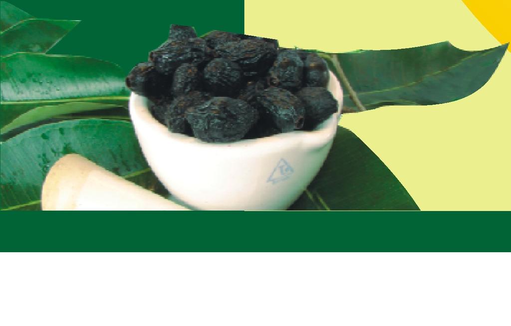 Eugenia Jambolana Jambul fruit is regarded in Ayurveda as a specific against Diabetes, because of its effect on pancreas.
