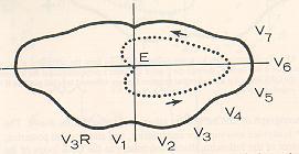 electrical vectors in a given plane over the course of