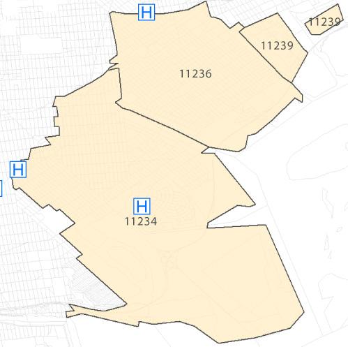 Neighborhood at a glance Population: 195,027 TBHC Service Areas: Outside the Service Area for The Brooklyn Hospital Center Age Group 85 yrs and older 290 723 1,245 808 80-84 yrs 339 778 1,214 937