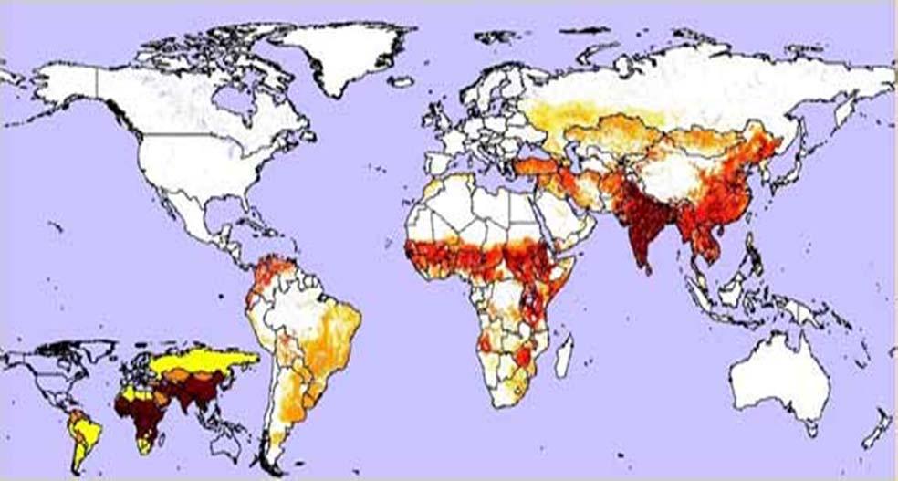 FMD Virus pools Geographical distribution of the seven major