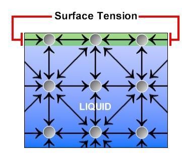 2 Surface Tension This property of liquids arises from the intermolecular forces of attraction.