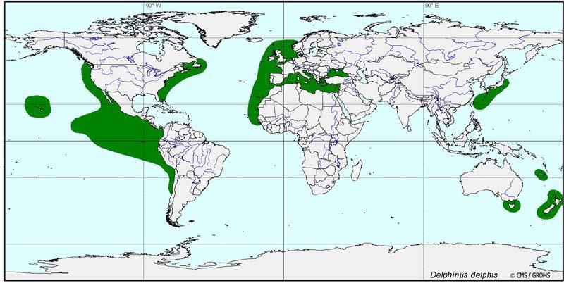 Common Dolphin Distribution Map