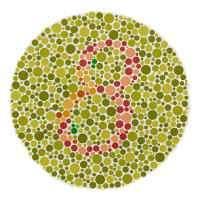 Sex-Linked Traits in Humans Red-Green Color Blindness
