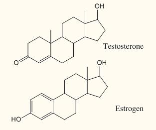 Steroids/ no fatty acid tails Carbon skeleton contains four fused rings