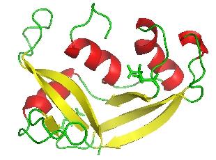 Protein Structure Tertiary Ø More
