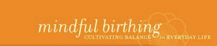 Mindfulness-Based Childbirth and Parenting Professional Training Program Information for Those Interested in Becoming a MBCP Instructor Since the founding of the Mindfulness- Based Stress Reduction