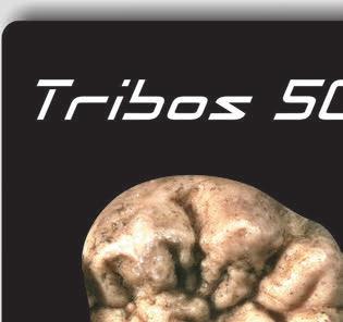 The Tribos 501, perfect portrayal where shape, function and aesthetics are taken from nature, taking into