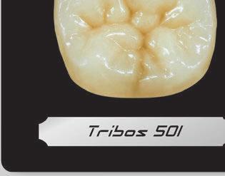 Secondary morphology abrasive Tribos 501 are high quality teeth developed in diagonal grid PMMA structure, produced