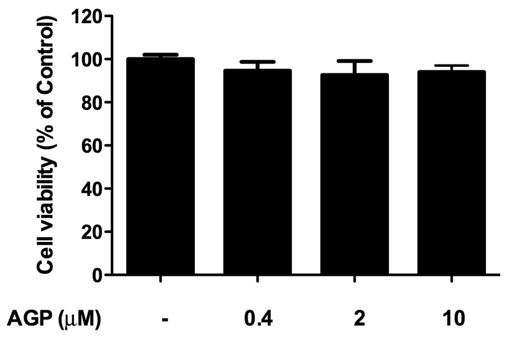 Andrographolide inhibition of receptor activator of nuclear factor kappa B ligand-induced osteoclastogenesis from RAW 264.7 murine macrophage cells after 5 days.