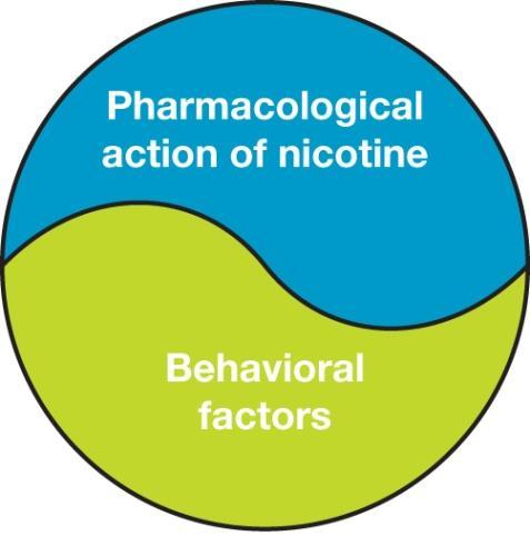 A Comprehensive Approach to Smoking Cessation Smoking addiction has two main components that need to be addressed: one related to the pharmacological action of inhaled nicotine and the other related