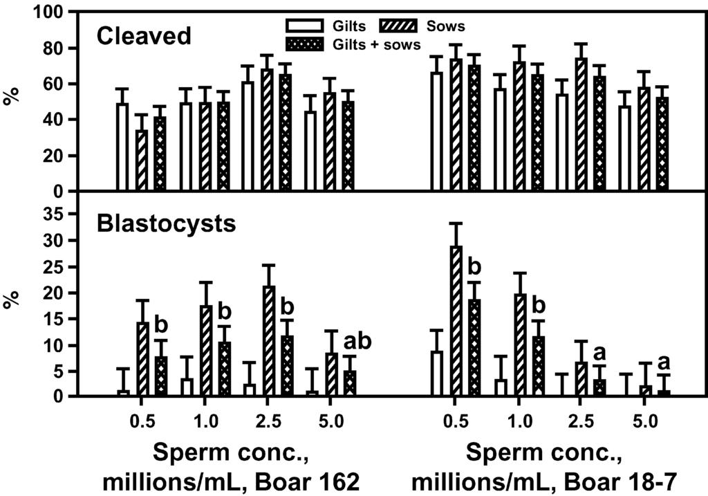 106 Sherrer et al. Figure 4. Effect of oocyte source, boar, and sperm concentration on rates of cleavage and blastocyst formation (Exp. 2).