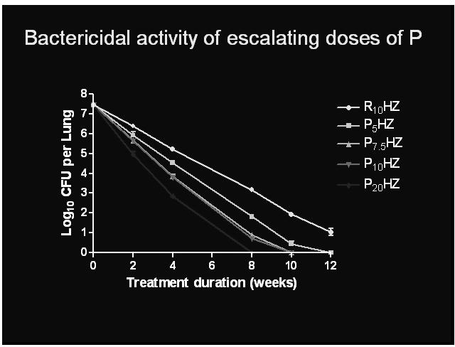 Rifapentine dose escalation studies before Phase III?