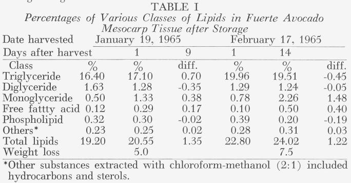 slight increases in the total lipids during storage in both lots of fruit.