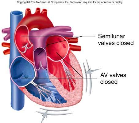 Cardiac cycle: 1 Begin systole