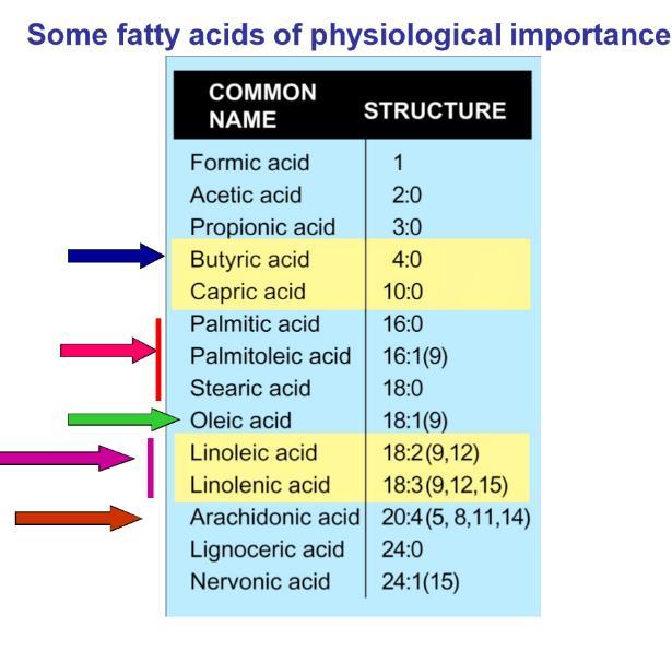 Side Notes: Formic acid, acetic acid and propionic acid are not considered fatty acids, they are grouped under the carboxylic acids.