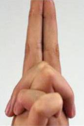 finger (loose) (Fig. 2).