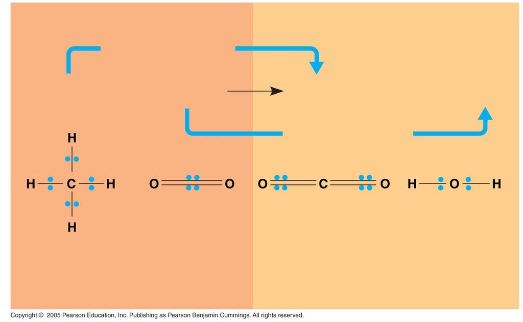 LE 9-3 Products Reactants becomes oxidized CH4 2 O2 + CO2 C Energy 2 H2O + becomes reduced H