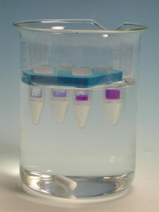 Dialysis with Midi Pur A Lyzer Figure 1: Dialysis with Midi Pur A Lyzer. Procedure 1. Fill the Pur A Lyzer with 0.8 ml of ultrapure water; incubate for at least 5 minutes. Empty the tube.