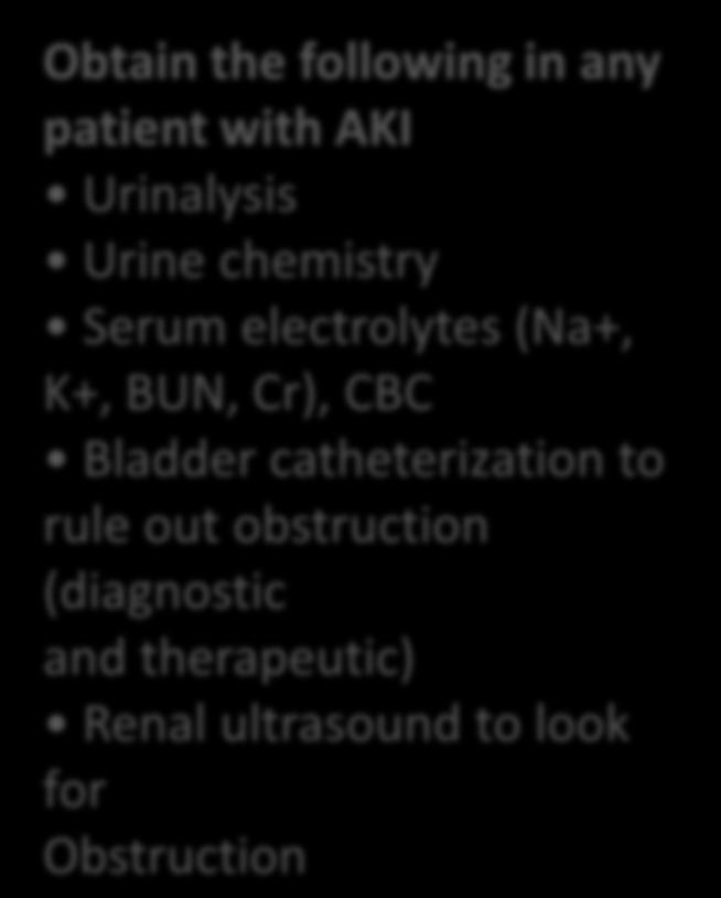 35 Quick Hit Obtain the following in any patient with AKI Urinalysis Urine chemistry Serum electrolytes (Na+, K+,