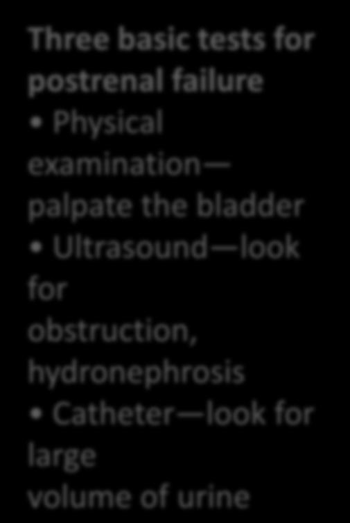 Three basic tests for postrenal failure Physical examination palpate the bladder Ultrasound look for obstruction,