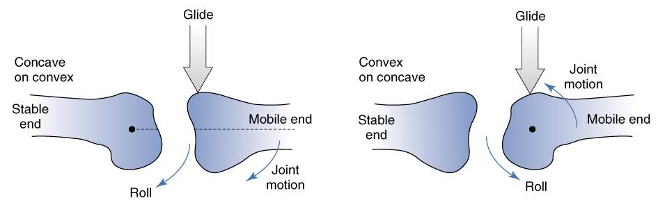 Rules for Concave- on-convex and