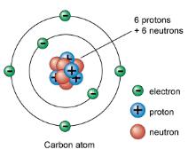 2.3 The Chemistry of Carbon A. Carbon atoms have four valence electrons 1.