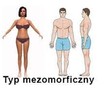 wedge shape of the body, cubic shape of the head, broad shoulders, muscled arms and legs, narrow hips, a small amount of body fat.