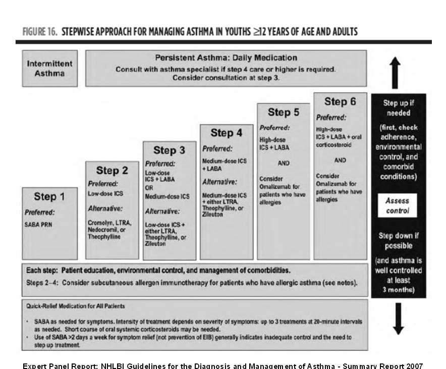 Management of Asthma Expert Panel Report: NHLBI Guidelines for the Diagnosis and Management of Asthma - Summary Report 2007 http://www.nhlbi.nih.gov/guidelines/asthma/asthgdln.