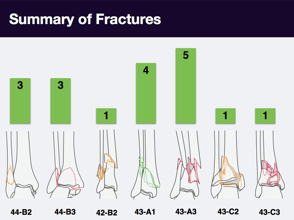 Summary of Fractures Figures taken from
