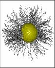 Peptide micelles Small, viral sized (10-50 nm) particles Similar to lipid micelles Composed of peptide core (hydrophobic