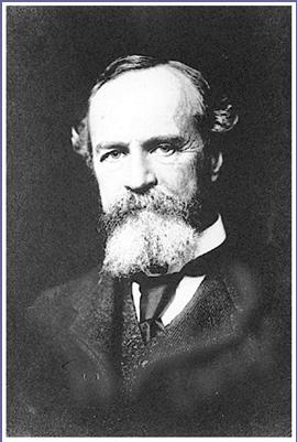 William James (1842 1910) Perspectives Perspective is a way of viewing phenomena Psychology has multiple perspectives Psychodynamic Behavioral Humanistic Biological Cognitive