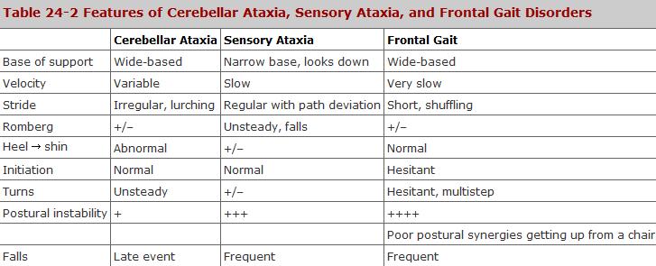 Caveats Friederick s ataxia, Multiple sclerosis Overlap of clinical features to be expected in clinical practice Cortical Ataxias FRONTAL LOBE ATAXIA refers to disturbed coordination due to