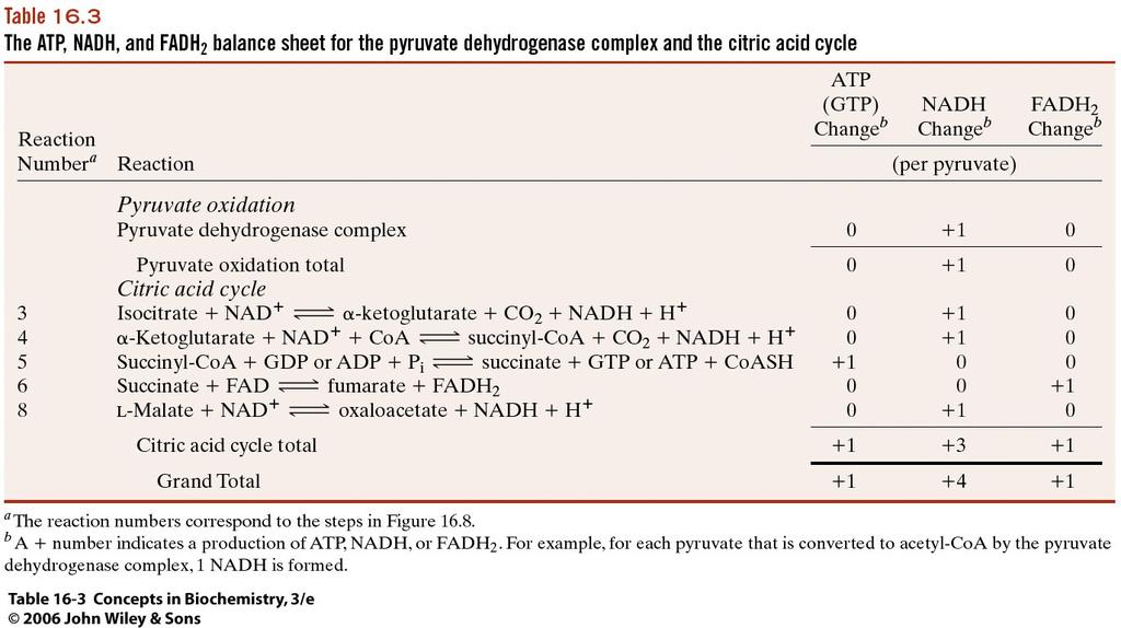 So, per pyruvate: 4 NADH (one from pyruvate dehydrogenase complex + 3 TCA) 1 ATP or GTP 1 FADH 2 ANIMATION: http://www.wiley.com/college/fob/anim/ Chapter 16 Fig.