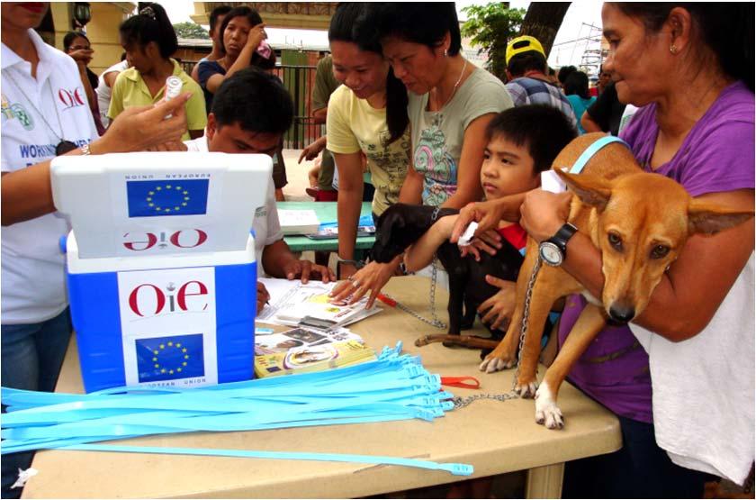 Regional Vaccine Bank for Rabies in Asia