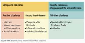 Immunology, Immune Response, and Immunological Testing Lines of Defense If the First and Second lines of defense fail, then the Third line of defense is activated.