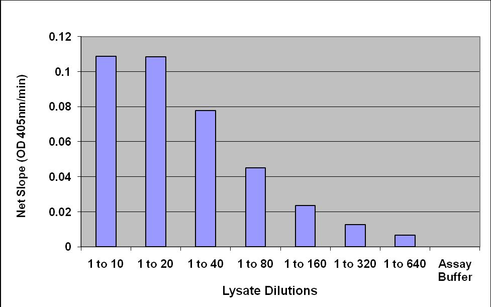Total Glutathione Content in NIH 3T3 Cell Lysate.