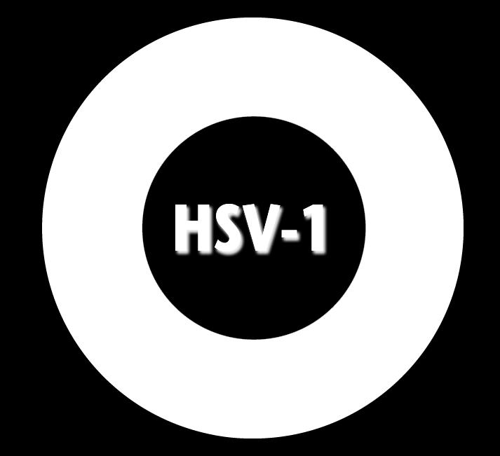 Seroprevalence of HSV-1 and HSV-2 in the U.S. 2010 HSV-1 seroprevalence: 53.9% 2010 HSV-2 seroprevalence: 15.7% Who Should Be Tested?