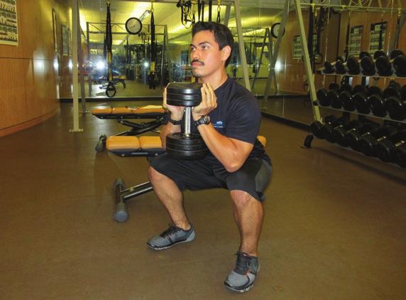 Core/Strength Training Exercises (Weeks 1-2: 1 sets of 12-15 repetitions for each
