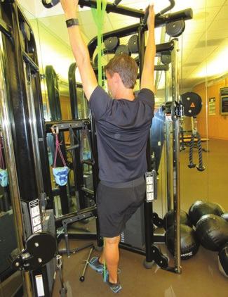 elbows, pull chest to bar.