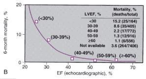 LV function in clinical practice: What is the echocardiographer asked?