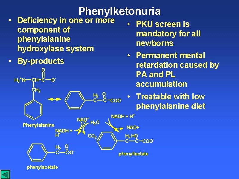 - In phenylketonurics, tyrosine is essential called conditionally essential - Accumulation of phenylalanine and its derivatives (e.g.