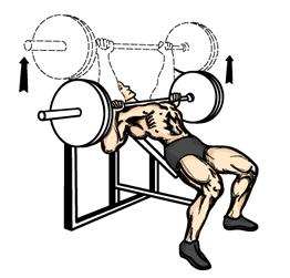 Incline Bench Press 1. Lie back on an incline bench (35 to 45 degrees) with your feet firmly planted on the floor. Your back should be pressed firmly against the padding. 2.