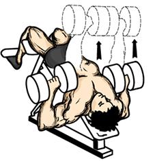 Decline Dumbbell Press 1. Grab a pair of dumbbells and position yourself on the decline bench (This will take some practice so start light).