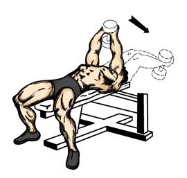 Dumbbell Pullover 1. Lie down on a bench with your shoulders near the end of the bench. Your head should be off the bench.