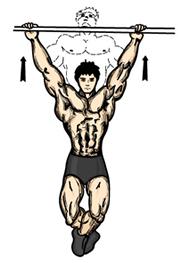1. In a controlled fashion, pull the bar upwards until you touch the lower part of your rib cage. 2. Lower the weight until your arms are straight.