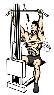 side. Keep your back straight and legs slightly bent at the bottom position. 1. Pull your body upward in a vertical line, keeping your elbows back.